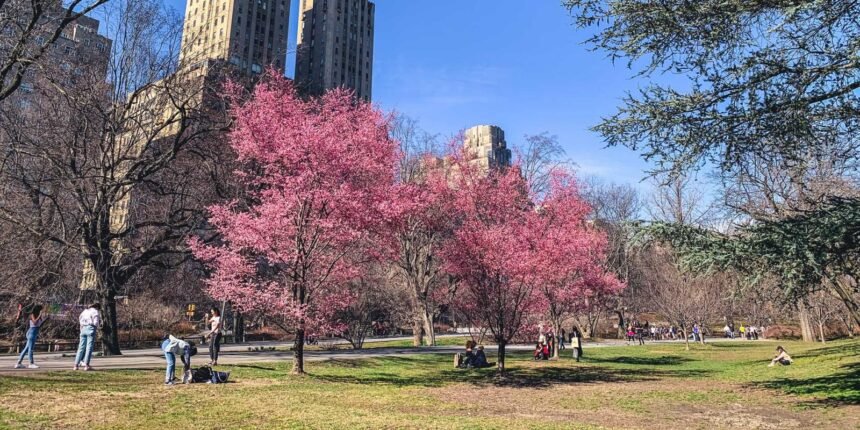 The Best Things To Do In NYC In April 2026