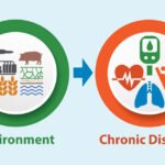 Environmental Factor - April 2025: Environment strongly influences chronic disease development