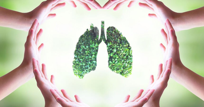 Environmental Factor - May 2025: How does the environment affect asthma?