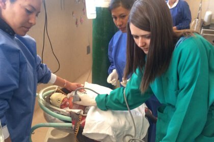 Environmental Factor - May 2025: Pediatrician shares keys to reducing wildfire smoke exposure