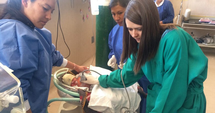 Environmental Factor - May 2025: Pediatrician shares keys to reducing wildfire smoke exposure