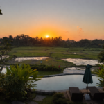 The Perfect 48 Hour Bali Guide