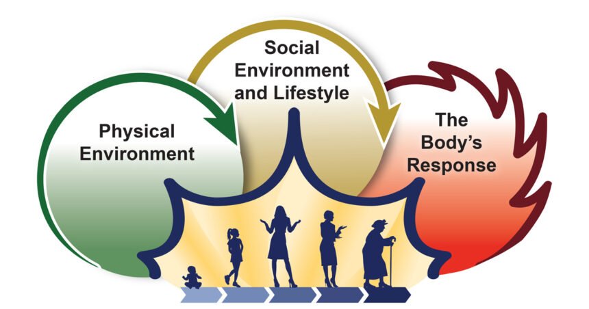 Environmental Factor - October 2024: First NIH-wide exposome research coordinating center launched
