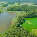 Environmental Factor - August 2024: New film series educates community about harmful algal blooms
