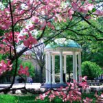 12 Unmissable Things To Do In Chapel Hill, North Carolina [2026 Update]