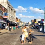 19 Insanely Cool Things To Do In Memphis With Kids [2026 Update]