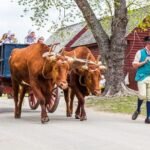5 Best Historical Sites In The Historic Triangle, Greater Williamsburg [2026 Update]