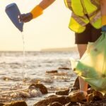 Environmental Factor - August 2024: NIEHS News in Brief