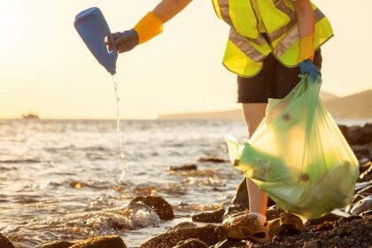 Environmental Factor - August 2024: NIEHS News in Brief