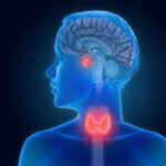 Environmental Factor - July 2024: How can you reduce health effects of endocrine-disrupting chemicals?