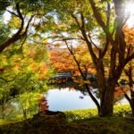 Brilliant red and orange maple leaves reflected in the pond at Eikando Temple in Kyoto during autumn