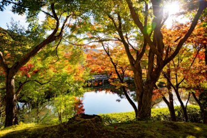 Brilliant red and orange maple leaves reflected in the pond at Eikando Temple in Kyoto during autumn