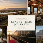 The Most Luxurious Train Journeys In Africa Worth Adding To Your Bucket List