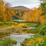 A footbridge crossing a shallow stream with a hillside behind it glowing orange, gold, and green during peak Vermont fall foliage