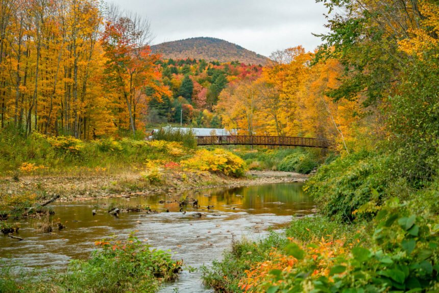 A footbridge crossing a shallow stream with a hillside behind it glowing orange, gold, and green during peak Vermont fall foliage